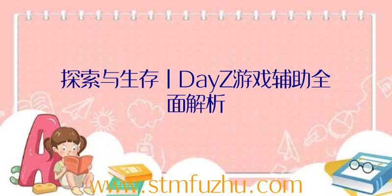 探索与生存|DayZ游戏辅助全面解析